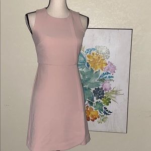 Ann Taylor NWT blush pink sleeveless dress 00P